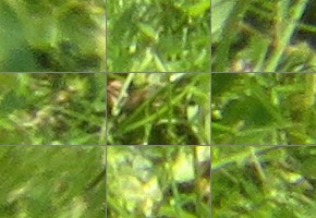 Canon PowerShot SX720 HS: kapesní šmírování