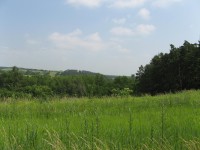 Canon PowerShot A700: Mezi kompaktem a ultrazoomem