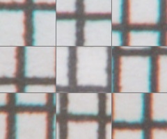 Fujifilm X-S1: jedinečný