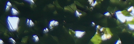 Sony Carl Zeiss Vario-Tessar T* 16-70mm F4 OSS (SEL1670Z)