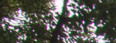 Tamron 16-300mm f/3.5-6.3 Di II VC PZD Macro