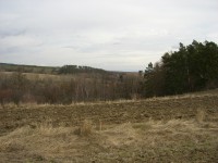 Casio Exilim Card EX-S600: Asijský plátek na fotografický způsob