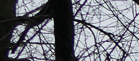 Panasonic Lumix FZ1000: legenda je zpátky