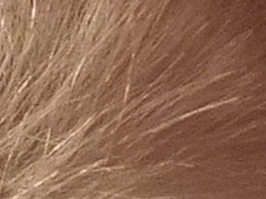 Fujifilm FinePix HS20EXR: důstojný nástupce