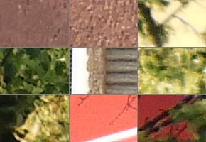 Nikon Coolpix B700: přírodovědec