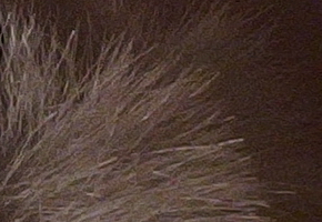 Olympus Stylus XZ-2: jednoduše skvělý