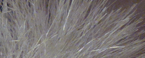 Nokia 808 PureView: mobilní zrcadlovkobijec