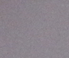 Canon PowerShot SX1 IS vs. SX10 IS: souboj CMOS a CCD