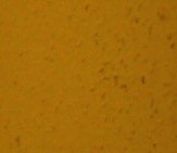 Lumix LZ2: stabilizovaná miniatura