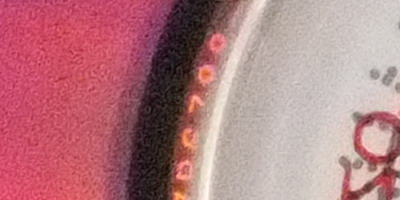 Fujifilm FinePix HS20EXR: důstojný nástupce