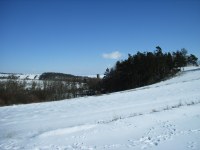 Caplio R1: Široká kompaktní náruč