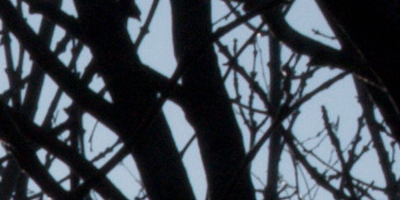 Nikon 1 NIKKOR 30-110mm 1:3,8-5,6 VR