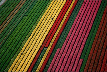 Země krásná neznámá