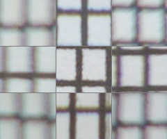 Fujifilm X-S1: jedinečný