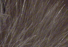 Olympus PEN E-P3: král všech PENů