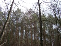 Casio Exilim Card EX-S600: Asijský plátek na fotografický způsob