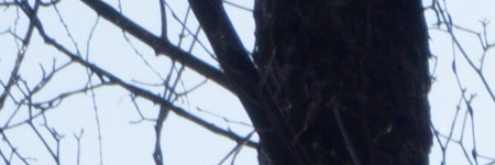 Olympus M.Zuiko Digital ED 14-42mm 1:3.5-5.6 EZ Pancake