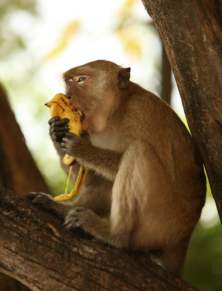 Jaký fotoaparát? – 3. díl: základní parametry