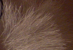 Nikon Coolpix P330: do vyšších sfér