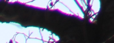 Megatest ultrazoomových objektivů