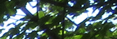 Canon PowerShot SX720 HS: kapesní šmírování