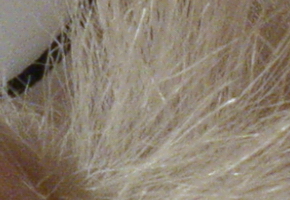 Sony Cyber-shot RX100: terminátor zrcadlovek