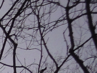 Sony Cyber-shot WX1: Vypilovaný drobek