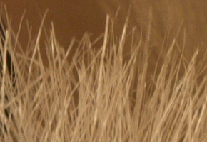 Sony NEX-7: správná (r)evoluce