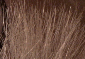 Samsung NX1000: sněhobílý bezdrát