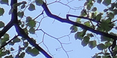 Nikon Coolpix P330: do vyšších sfér