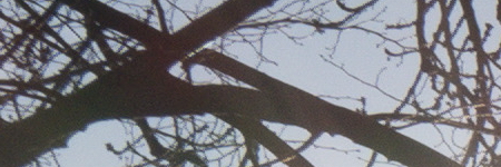 Panasonic Lumix LX100: pozoruhodný profi kompakt