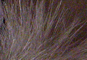 Nikon D600: vynikající vstup do světa full frame