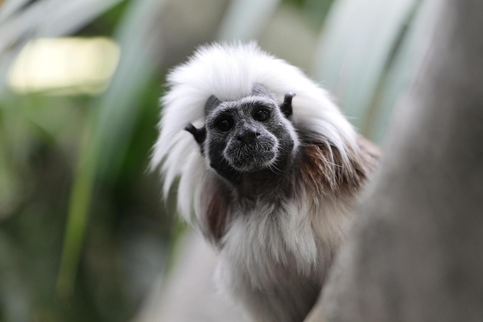 Panasonic Lumix S1R: sebevědomý vstup do FF