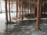 Pentagram Photon 484: Svérázný 4 Mpix ultrazoom