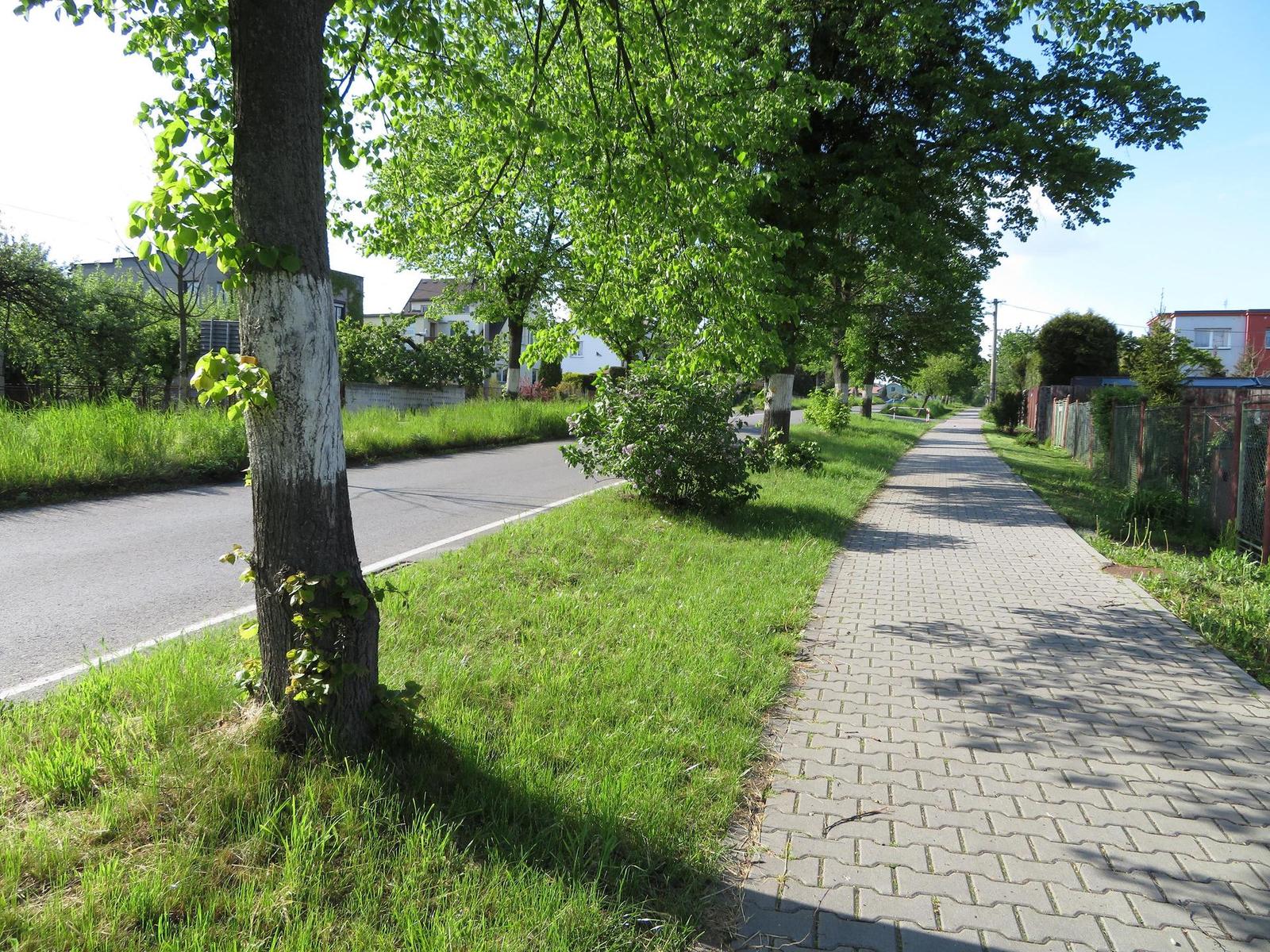 Canon PowerShot SX720 HS: kapesní šmírování