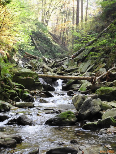 BenQ DC T1260: přítel citlivé peněženky