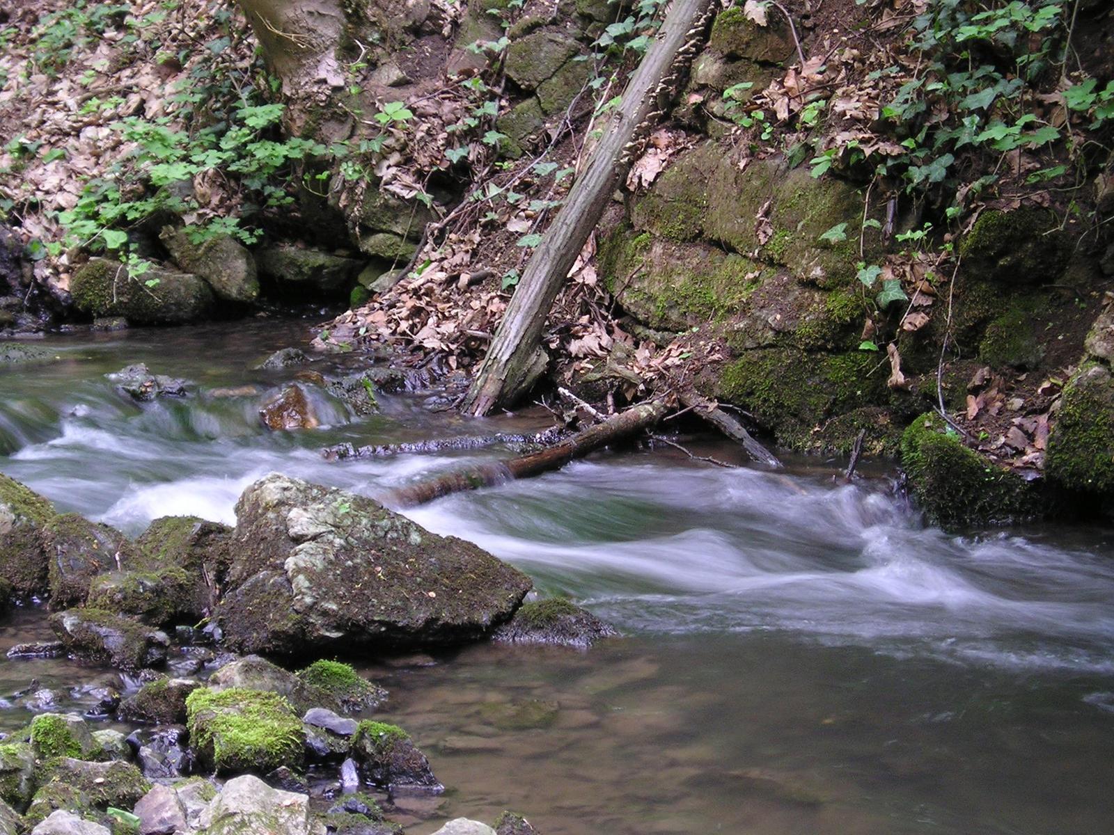 Olympus Camedia C-350 Zoom: kvalita v tradičním kabátku