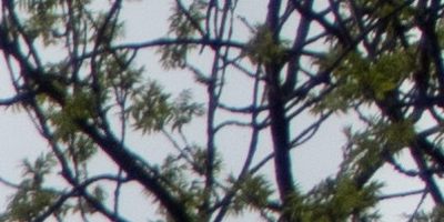 Olympus Stylus XZ-2: jednoduše skvělý