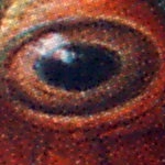 UMAX Premier 3306: Jednoduchý, ale pohledný premiér