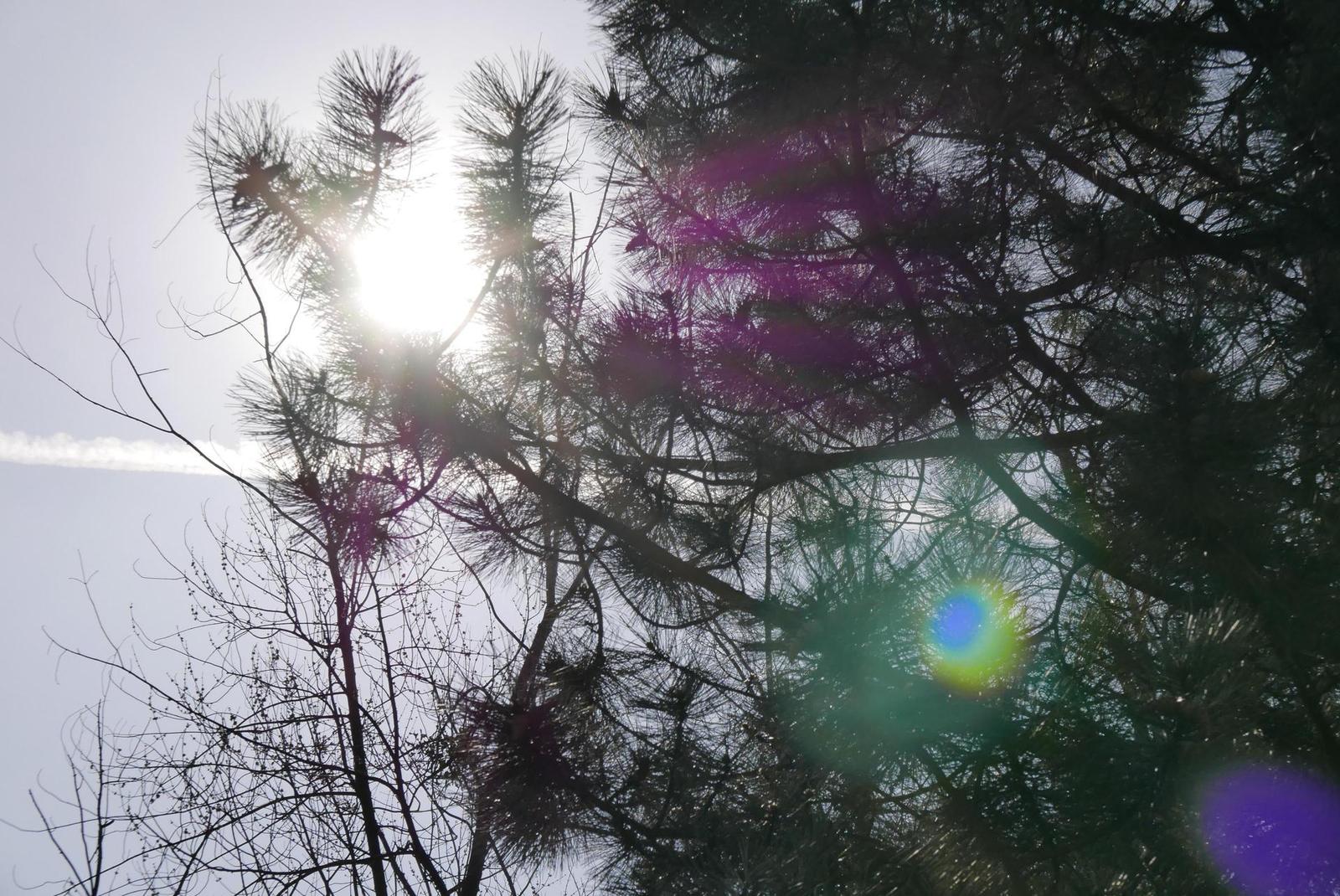 Panasonic Lumix LX100: pozoruhodný profi kompakt