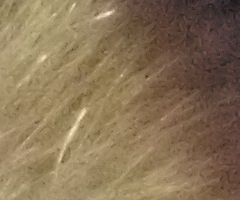 Samsung ST550: jedno LCD nestačí