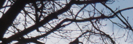 Panasonic Lumix LX100: pozoruhodný profi kompakt