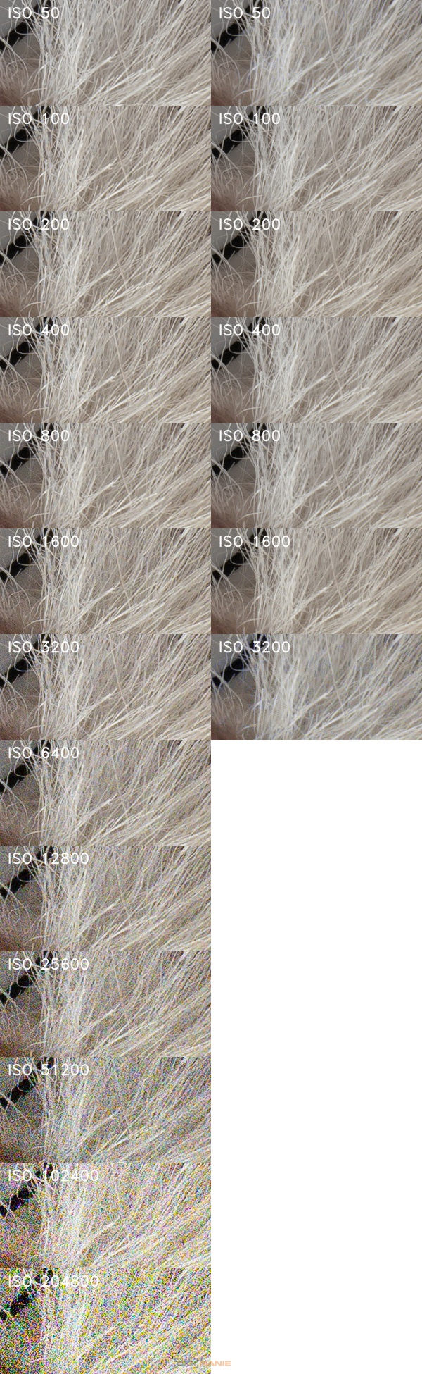 Panasonic Lumix S1: postřehy z praxe