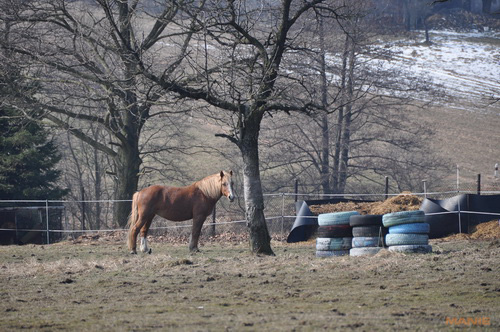 Dva objektivy nebo jeden ultrazoom?