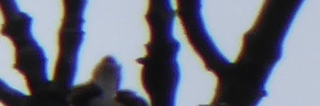 Panasonic Lumix TZ70: krůček k profi ultrazoomu