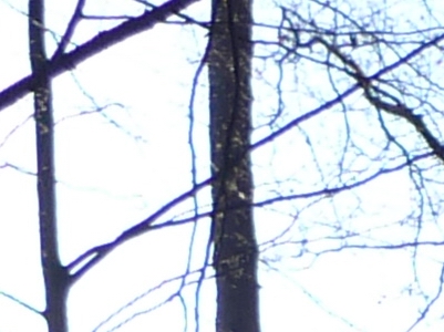 Panasonic Lumix LX3: nejtajnější přání vyslyšena