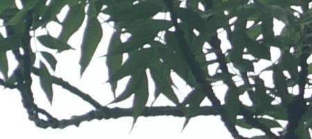 Jupiter-9 85mm F2.0 (M39)