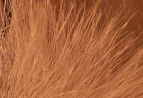 Panasonic Lumix LX7: kompaktní hvězda noci