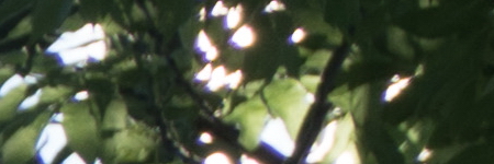 Sony E PZ 18-105mm F4 G OSS (SELP18105G)