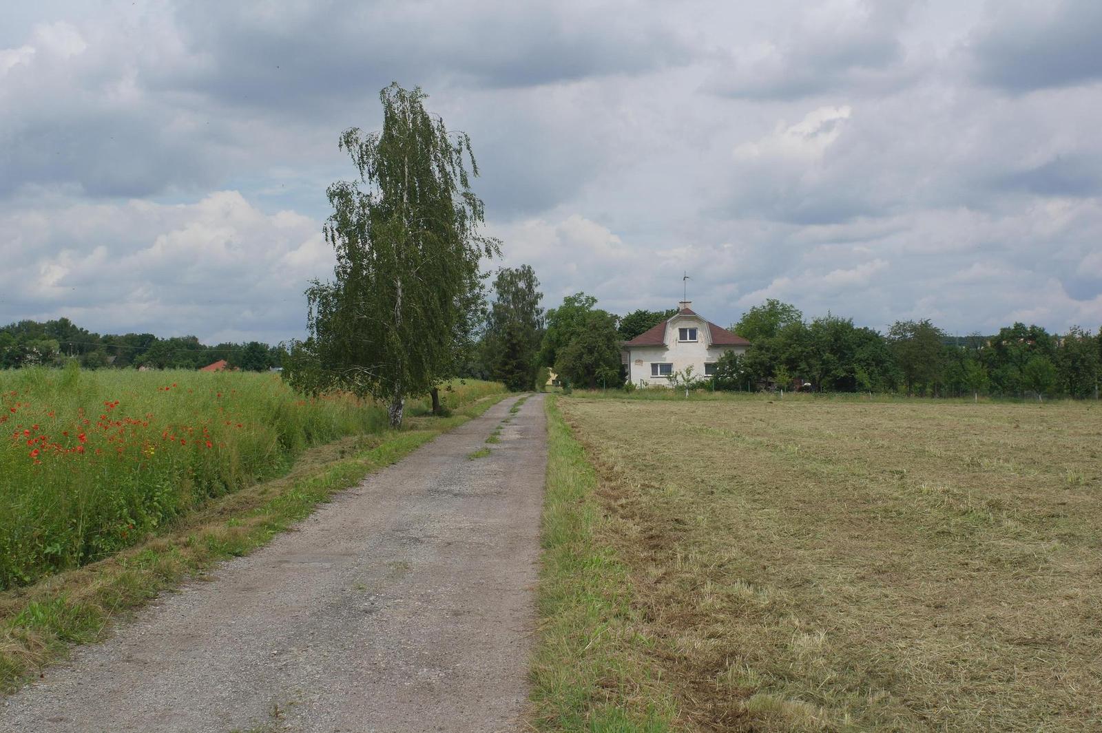 Canon FL 35mm 1:2.5 (FL/FD)